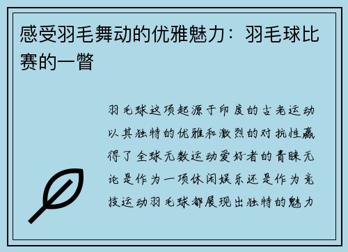 感受羽毛舞动的优雅魅力：羽毛球比赛的一瞥