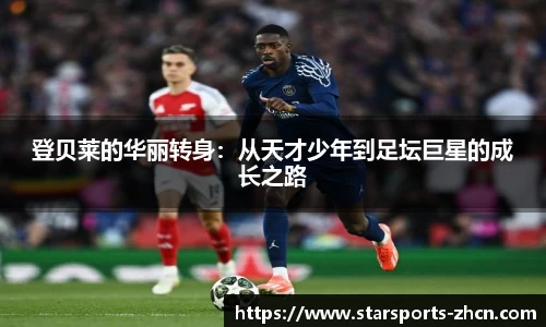 星空体育官方网站